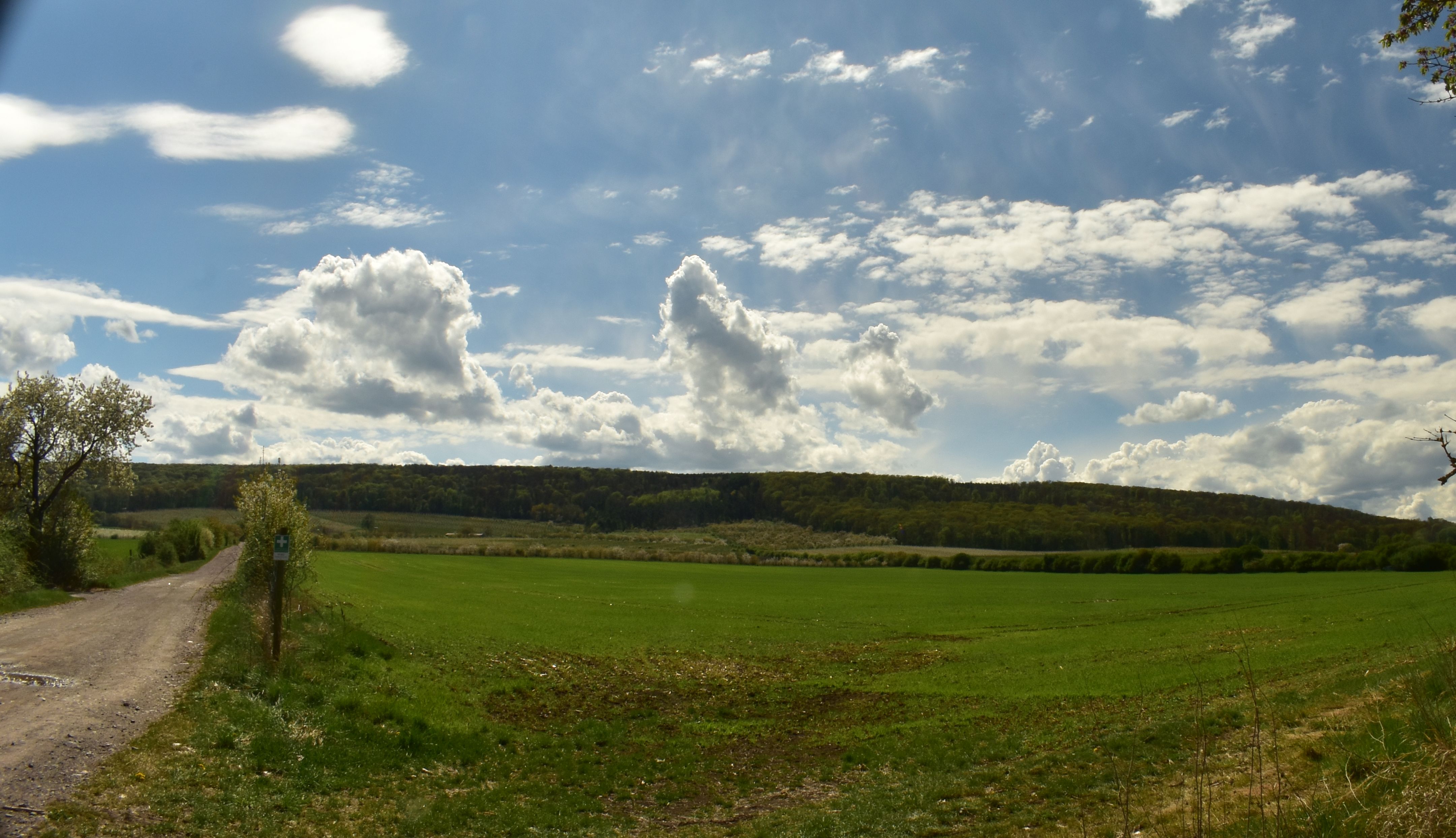 Landschaftsbild der Fahner Höhe im Frühling 2025