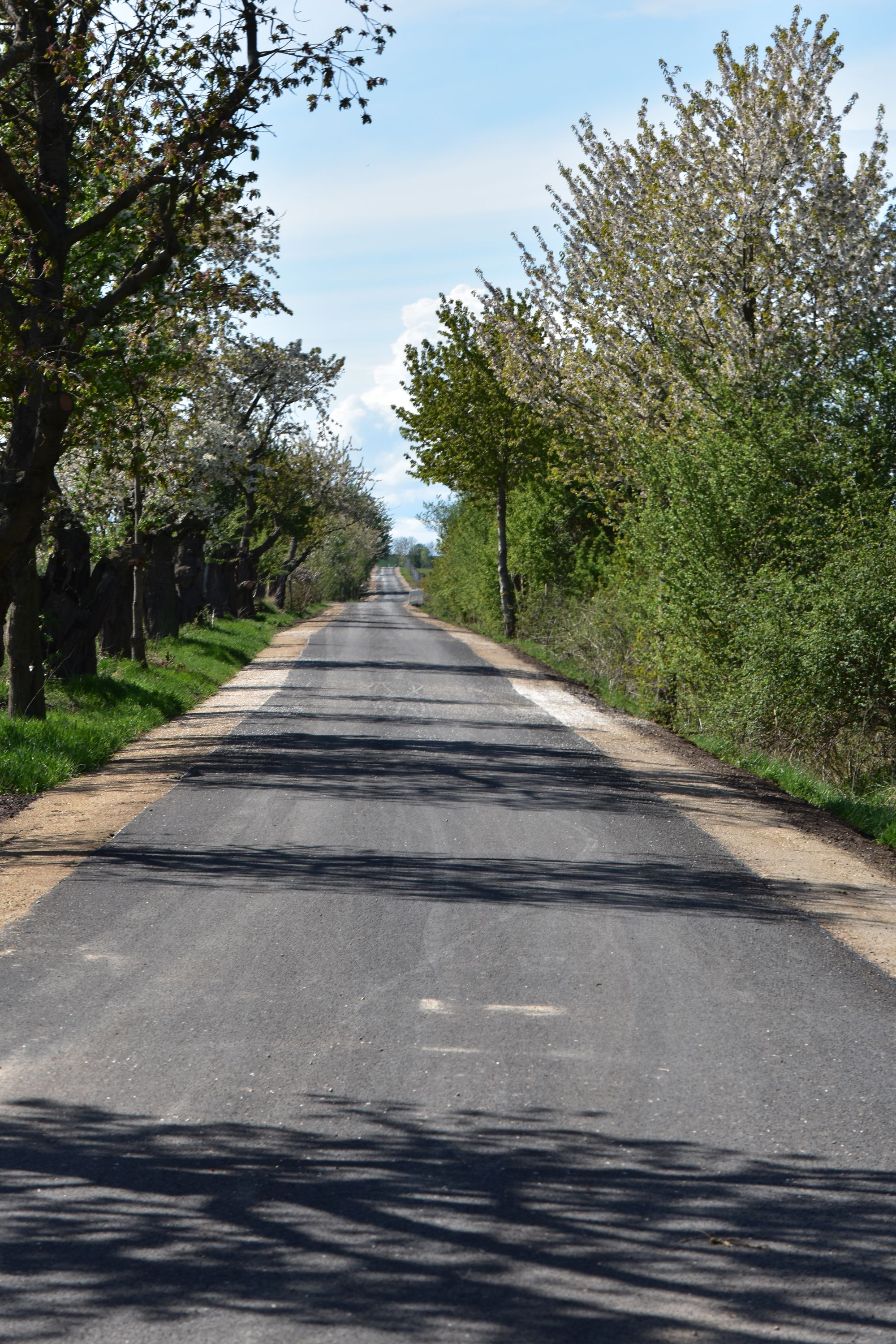 Der Lückenschluß im Radweg an der Fahner Höhe