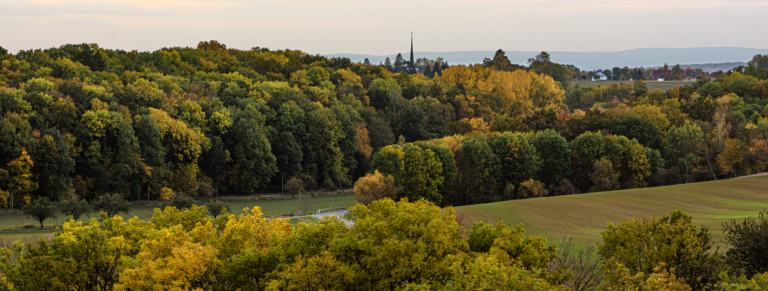 Der Wald mit seinen Herbstfarben Der Wald mit seinen Herbstfarben